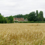 Soulangy