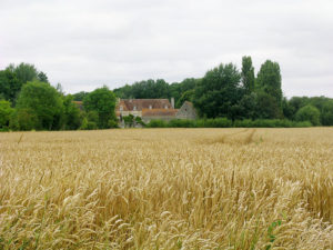 Soulangy