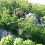 Soumont-Saint-Quentin