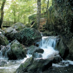 Soumont-Saint-Quentin
